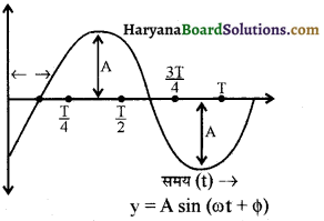 HBSE 11th Class Physics Important Questions Chapter 14 दोलन - 11