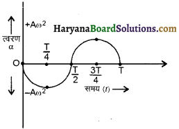 HBSE 11th Class Physics Important Questions Chapter 14 दोलन - 14