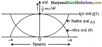 HBSE 11th Class Physics Important Questions Chapter 14 दोलन - 17