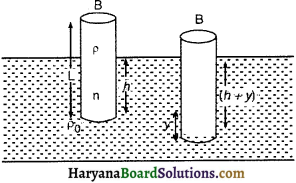HBSE 11th Class Physics Important Questions Chapter 14 दोलन - 18