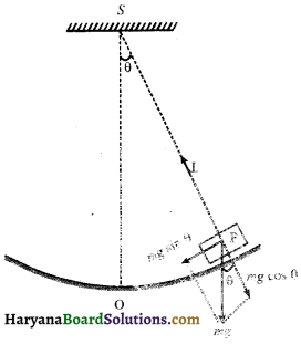 HBSE 11th Class Physics Important Questions Chapter 14 दोलन - 25