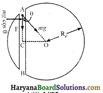 HBSE 11th Class Physics Important Questions Chapter 14 दोलन - 29