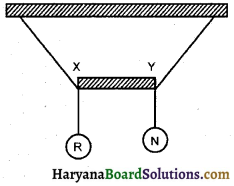HBSE 11th Class Physics Important Questions Chapter 14 दोलन - 31