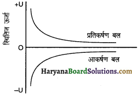 HBSE 11th Class Physics Important Questions Chapter 6 कार्य, ऊर्जा और शक्ति -4