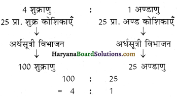 HBSE 12th Class Biology Important Questions Chapter 3 मानव जनन 10