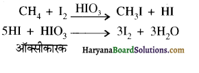 HBSE 12th Class Chemistry Important Questions Chapter 10 हैलोऐल्केन तथा हैलोऐरीन 24