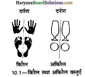 HBSE 12th Class Chemistry Important Questions Chapter 10 हैलोऐल्केन तथा हैलोऐरीन 41