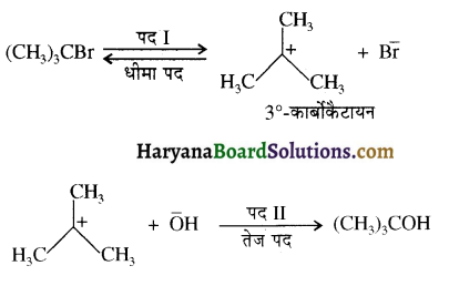 HBSE 12th Class Chemistry Important Questions Chapter 10 हैलोऐल्केन तथा हैलोऐरीन 79