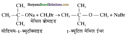 HBSE 12th Class Chemistry Important Questions Chapter 11 ऐल्कोहॉल, फीनॉल एवं ईथर 105