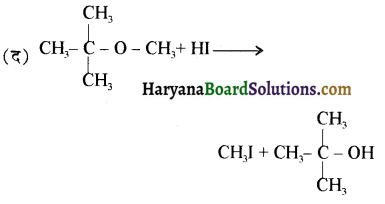 HBSE 12th Class Chemistry Important Questions Chapter 11 ऐल्कोहॉल, फीनॉल एवं ईथर 19