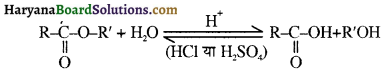 HBSE 12th Class Chemistry Important Questions Chapter 11 ऐल्कोहॉल, फीनॉल एवं ईथर 36