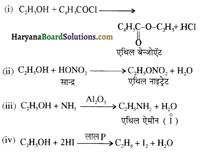HBSE 12th Class Chemistry Important Questions Chapter 11 ऐल्कोहॉल, फीनॉल एवं ईथर 50
