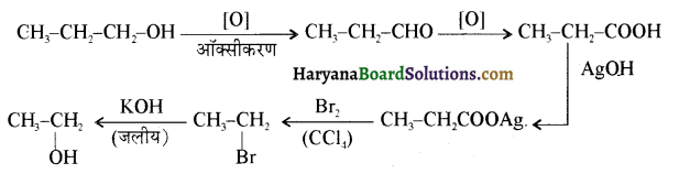 HBSE 12th Class Chemistry Important Questions Chapter 11 ऐल्कोहॉल, फीनॉल एवं ईथर 57