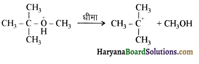 HBSE 12th Class Chemistry Important Questions Chapter 11 ऐल्कोहॉल, फीनॉल एवं ईथर 69