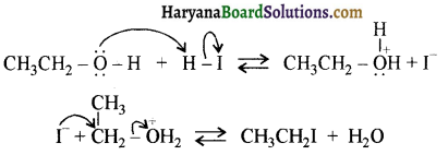 HBSE 12th Class Chemistry Important Questions Chapter 11 ऐल्कोहॉल, फीनॉल एवं ईथर 73