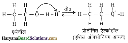 HBSE 12th Class Chemistry Important Questions Chapter 11 ऐल्कोहॉल, फीनॉल एवं ईथर 92