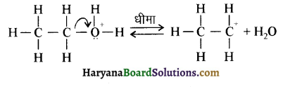 HBSE 12th Class Chemistry Important Questions Chapter 11 ऐल्कोहॉल, फीनॉल एवं ईथर 93