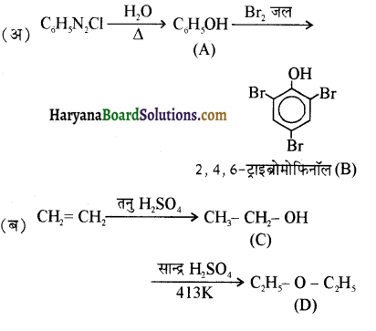 HBSE 12th Class Chemistry Important Questions Chapter 11 ऐल्कोहॉल, फीनॉल एवं ईथर 96