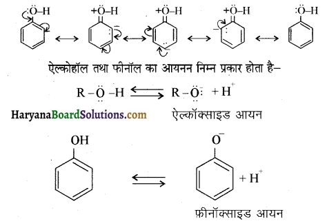HBSE 12th Class Chemistry Important Questions Chapter 11 ऐल्कोहॉल, फीनॉल एवं ईथर 97
