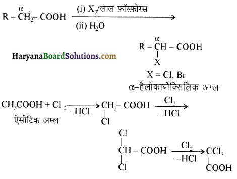 HBSE 12th Class Chemistry Important Questions Chapter 12 ऐल्डिहाइड, कीटोन एवं कार्बोक्सिलिक अम्ल 111