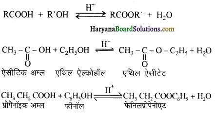 HBSE 12th Class Chemistry Important Questions Chapter 12 ऐल्डिहाइड, कीटोन एवं कार्बोक्सिलिक अम्ल 85