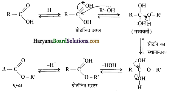 HBSE 12th Class Chemistry Important Questions Chapter 12 ऐल्डिहाइड, कीटोन एवं कार्बोक्सिलिक अम्ल 86