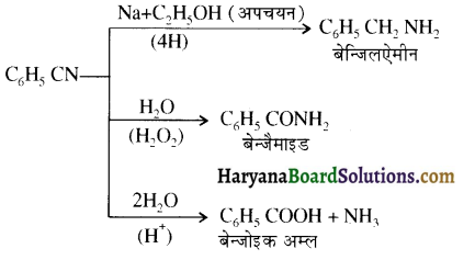 HBSE 12th Class Chemistry Important Questions Chapter 13 ऐमीन 51