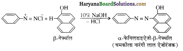 HBSE 12th Class Chemistry Important Questions Chapter 13 ऐमीन 55
