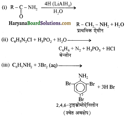 HBSE 12th Class Chemistry Important Questions Chapter 13 ऐमीन 61