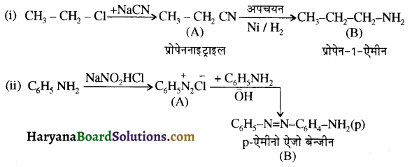 HBSE 12th Class Chemistry Important Questions Chapter 13 ऐमीन 63