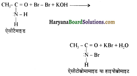 HBSE 12th Class Chemistry Important Questions Chapter 13 ऐमीन 69