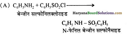 HBSE 12th Class Chemistry Important Questions Chapter 13 ऐमीन 74