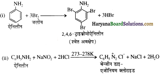 HBSE 12th Class Chemistry Important Questions Chapter 13 ऐमीन 82