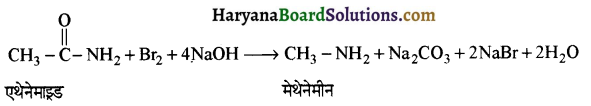 HBSE 12th Class Chemistry Important Questions Chapter 13 ऐमीन 88a