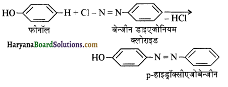 HBSE 12th Class Chemistry Important Questions Chapter 13 ऐमीन 89
