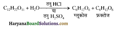 HBSE 12th Class Chemistry Important Questions Chapter 14 जैव-अणु 16