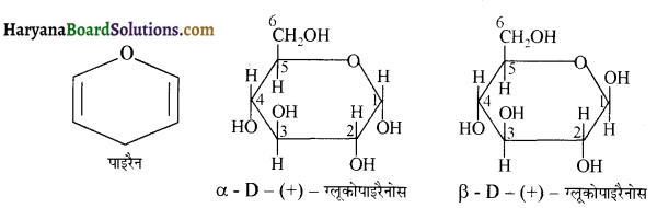 HBSE 12th Class Chemistry Important Questions Chapter 14 जैव-अणु 21