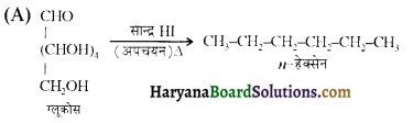 HBSE 12th Class Chemistry Important Questions Chapter 14 जैव-अणु 22