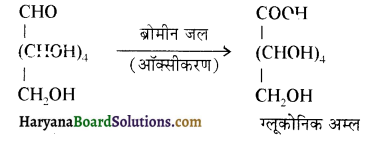 HBSE 12th Class Chemistry Important Questions Chapter 14 जैव-अणु 23