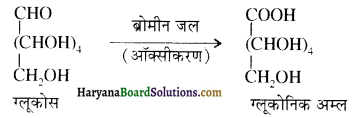HBSE 12th Class Chemistry Important Questions Chapter 14 जैव-अणु 25