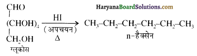 HBSE 12th Class Chemistry Important Questions Chapter 14 जैव-अणु 26