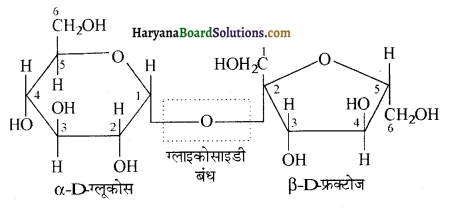 HBSE 12th Class Chemistry Important Questions Chapter 14 जैव-अणु 27