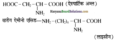 HBSE 12th Class Chemistry Important Questions Chapter 14 जैव-अणु 29