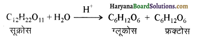 HBSE 12th Class Chemistry Important Questions Chapter 14 जैव-अणु 3