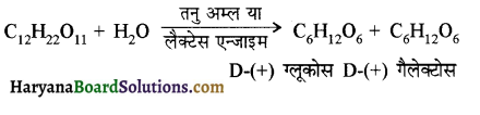 HBSE 12th Class Chemistry Important Questions Chapter 14 जैव-अणु 4