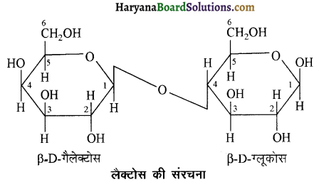 HBSE 12th Class Chemistry Important Questions Chapter 14 जैव-अणु 5