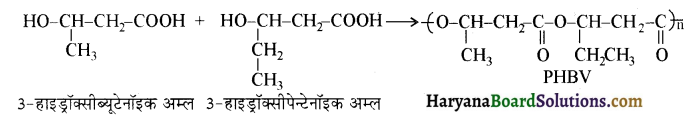 HBSE 12th Class Chemistry Important Questions Chapter 15 बहुलक 14