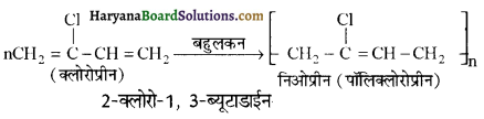 HBSE 12th Class Chemistry Important Questions Chapter 15 बहुलक 17