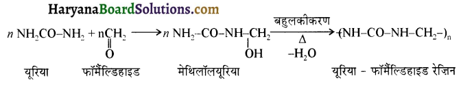 HBSE 12th Class Chemistry Important Questions Chapter 15 बहुलक 7