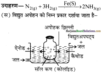 HBSE 12th Class Chemistry Important Questions Chapter 5 Img 16